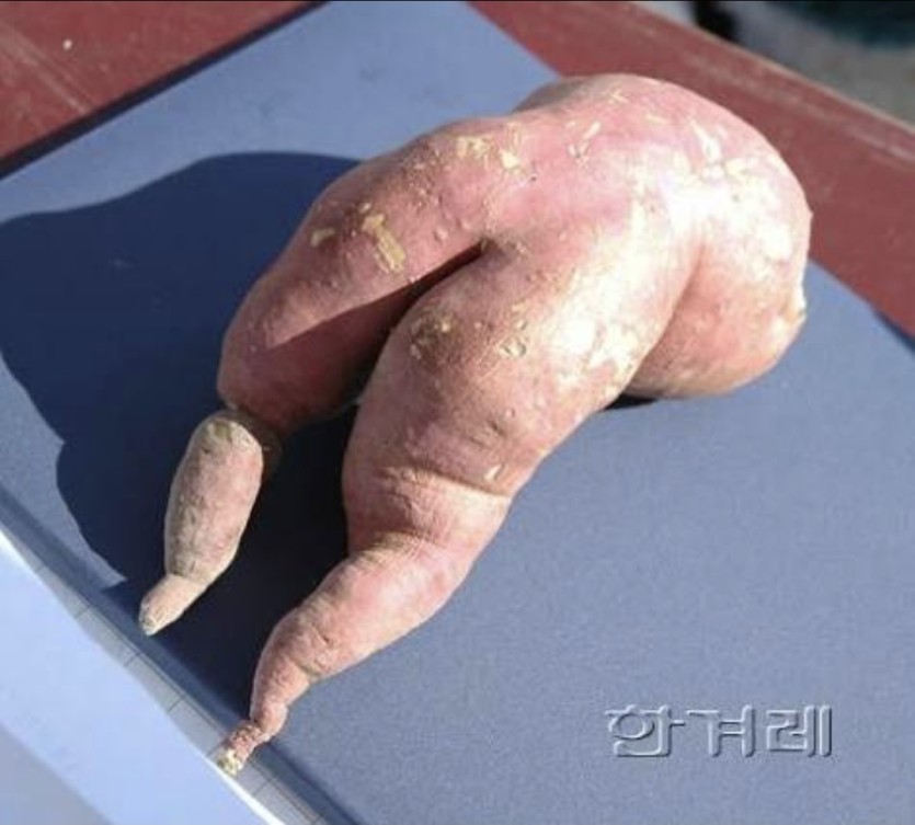 대주는 자세ㄷㄷ(0)