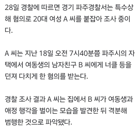 "내집서 애정행각?” 여동생남친에 너클던진 20대 언니(0)