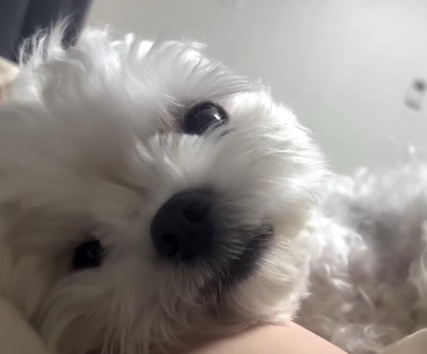 오늘밤엔 무슨일이 날까(0)