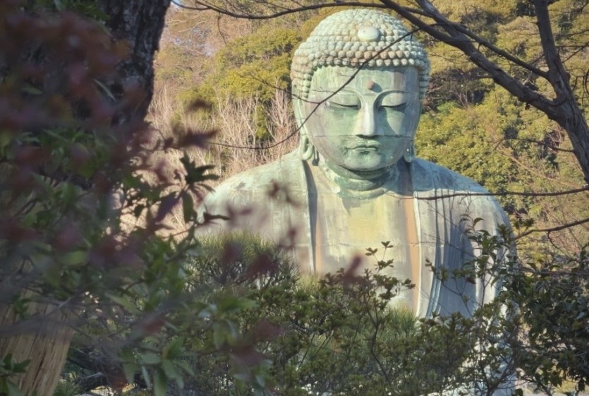 일본을 여행하며 찍은 사진과 장소(8)