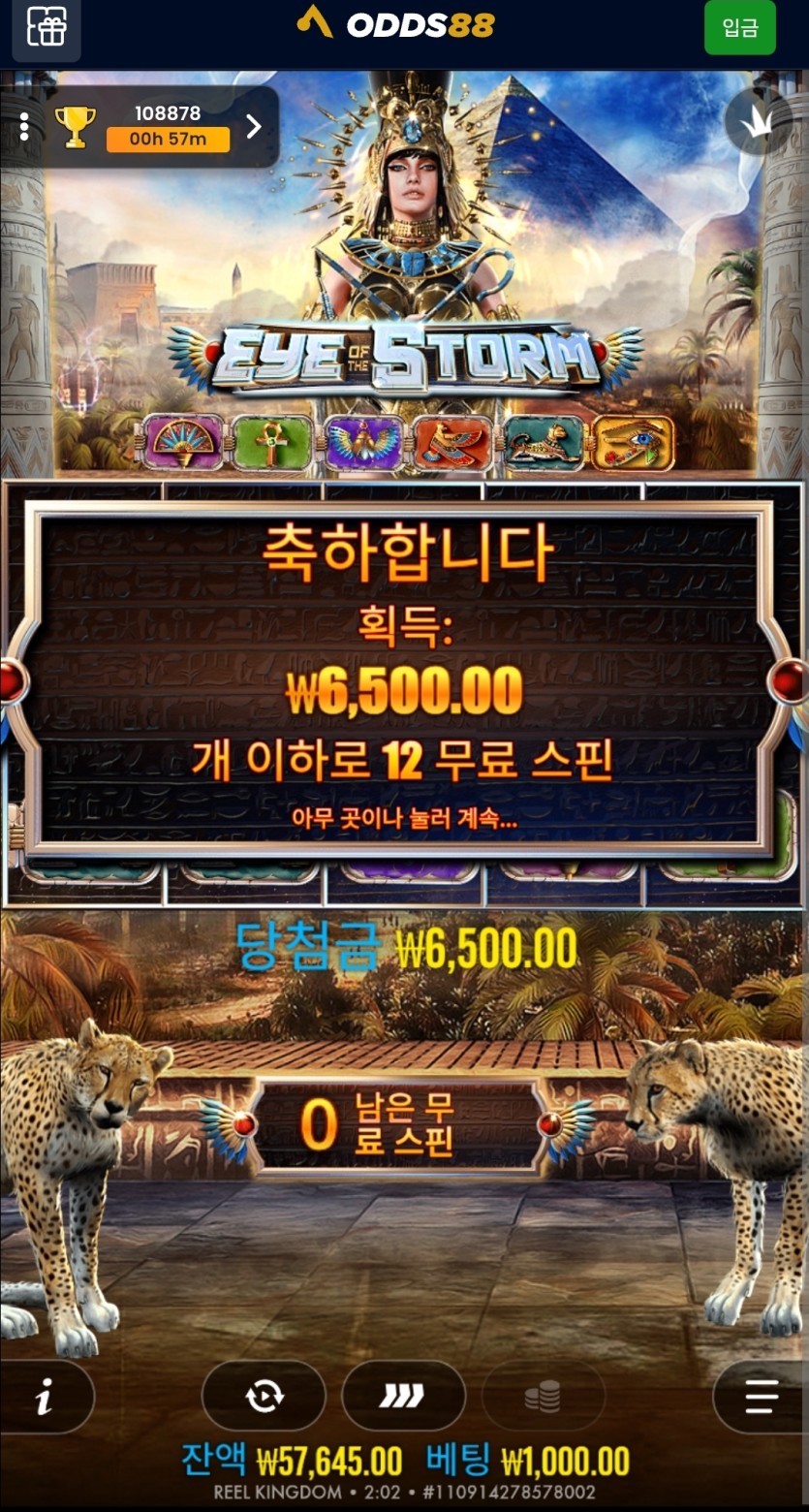 오즈후기(1)