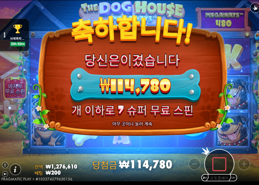 얀카지노(11)