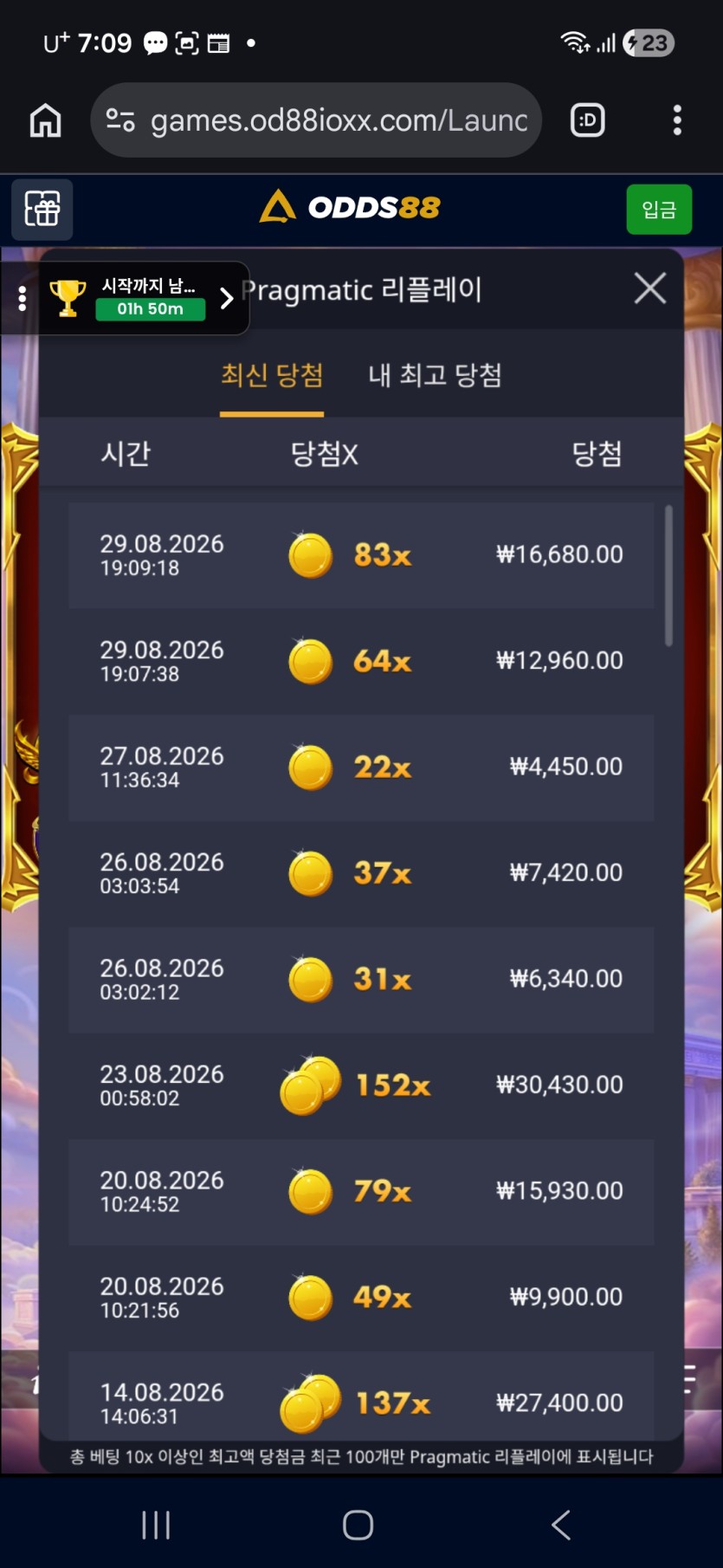 오즈88후기(0)