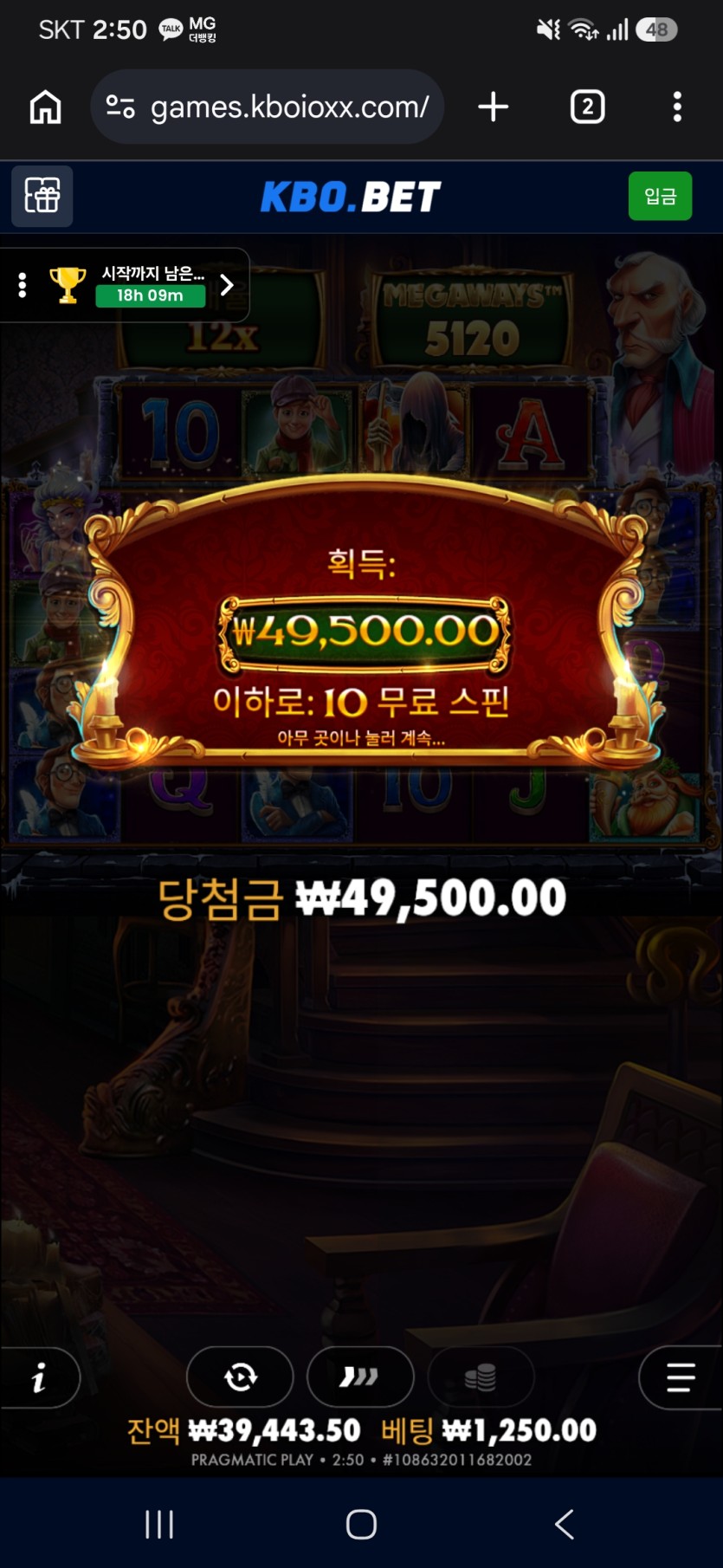 크보벳 후기(0)