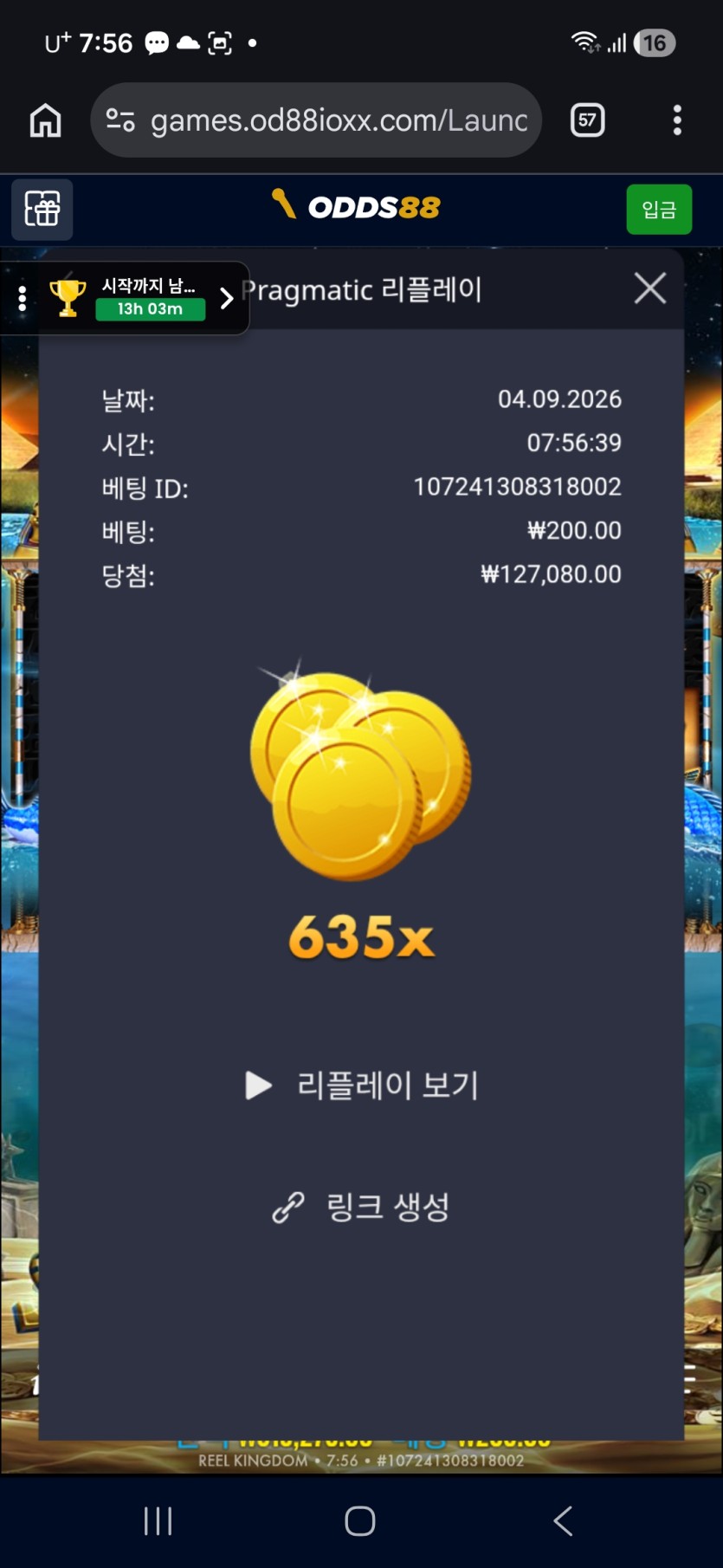 오즈88후기(0)
