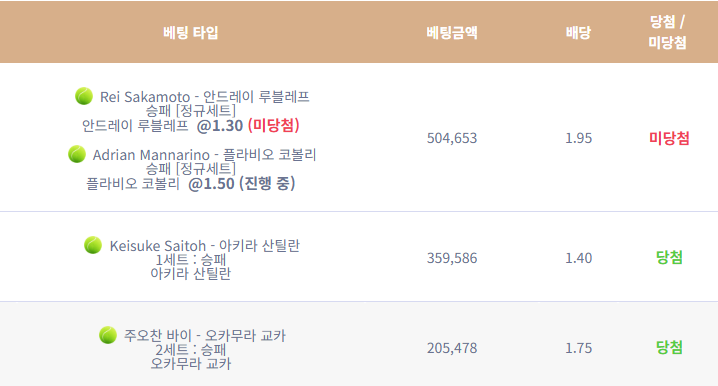 케이카 테니스(0)