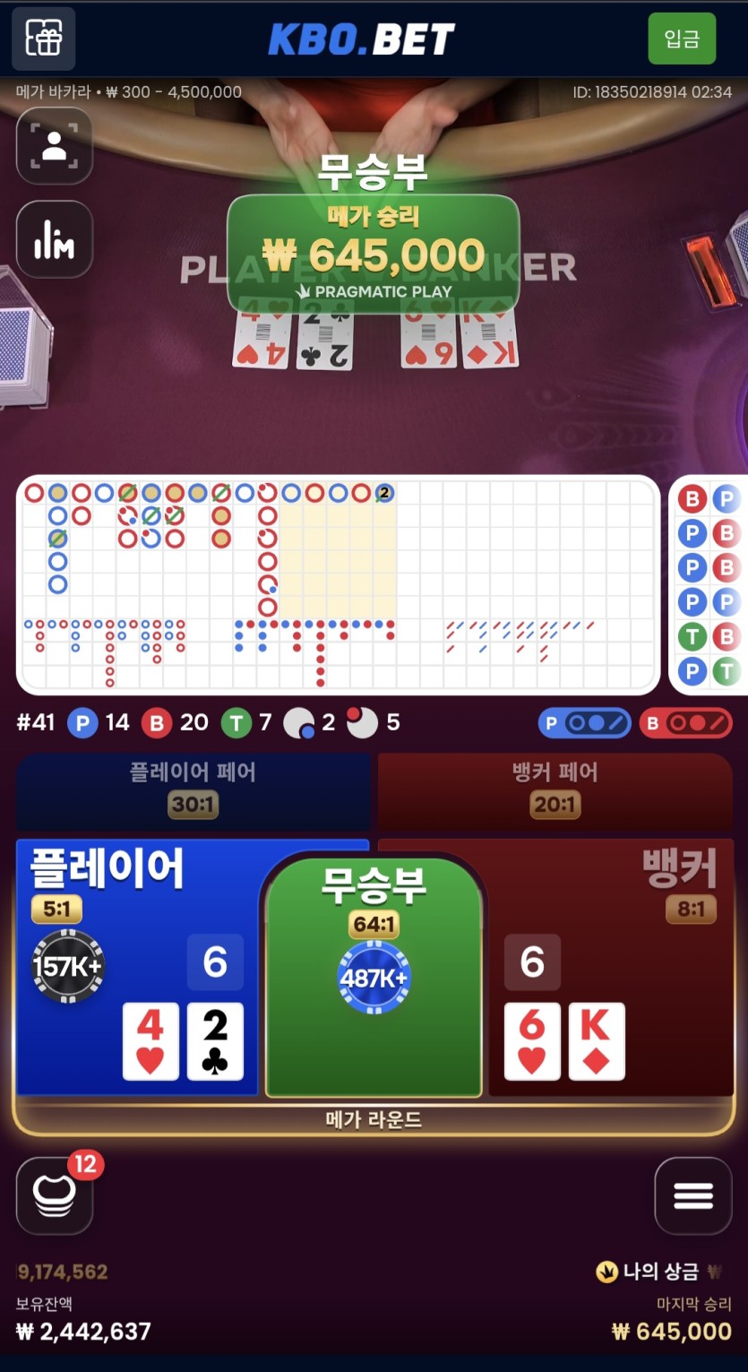 크보벳 메가바카라(1)