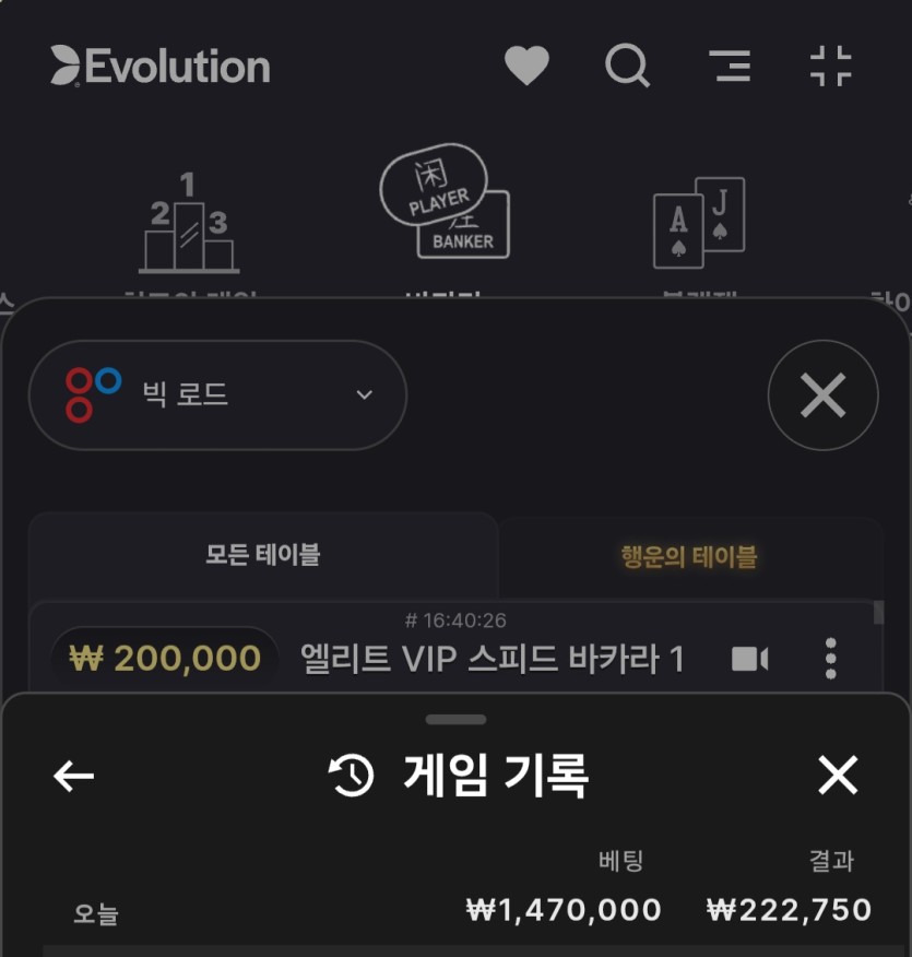 유로스타 새벽겜바카라후기(0)