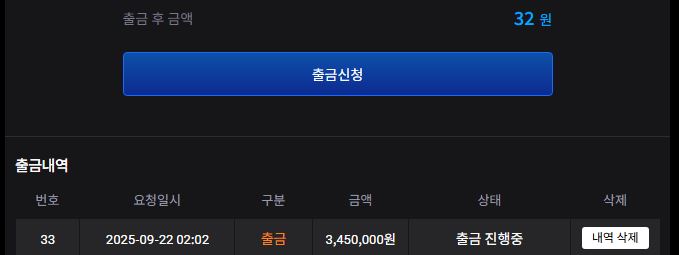 비제 슬롯 후기(1)