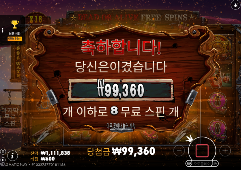얀카지노(13)
