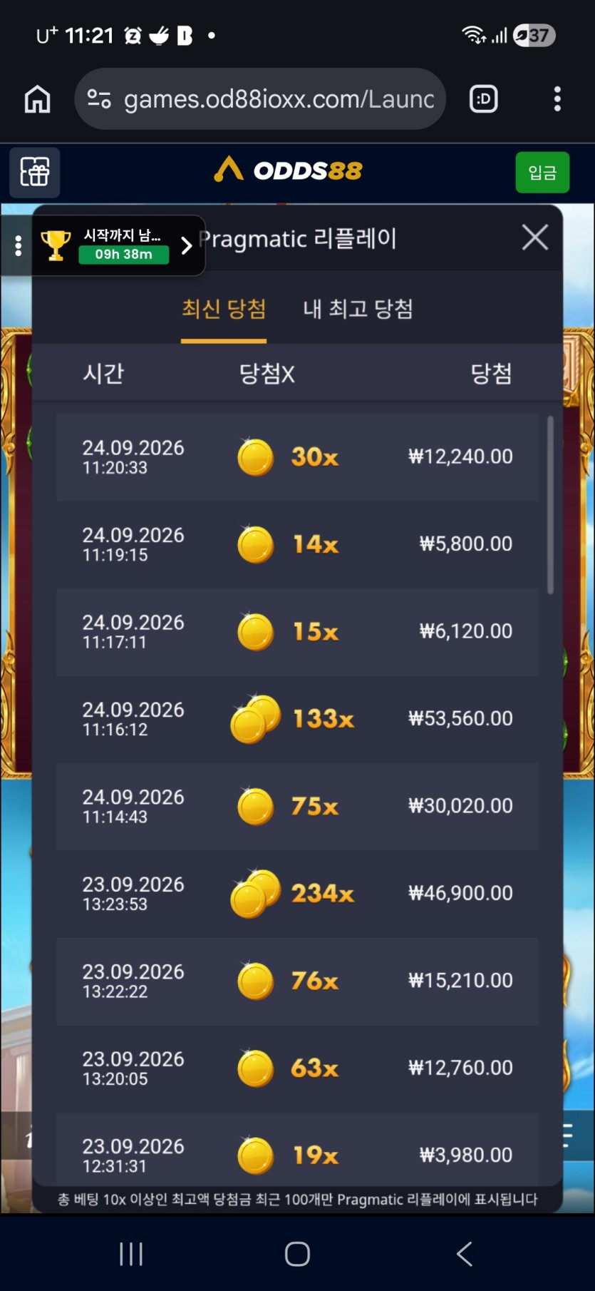 오즈88후기(0)