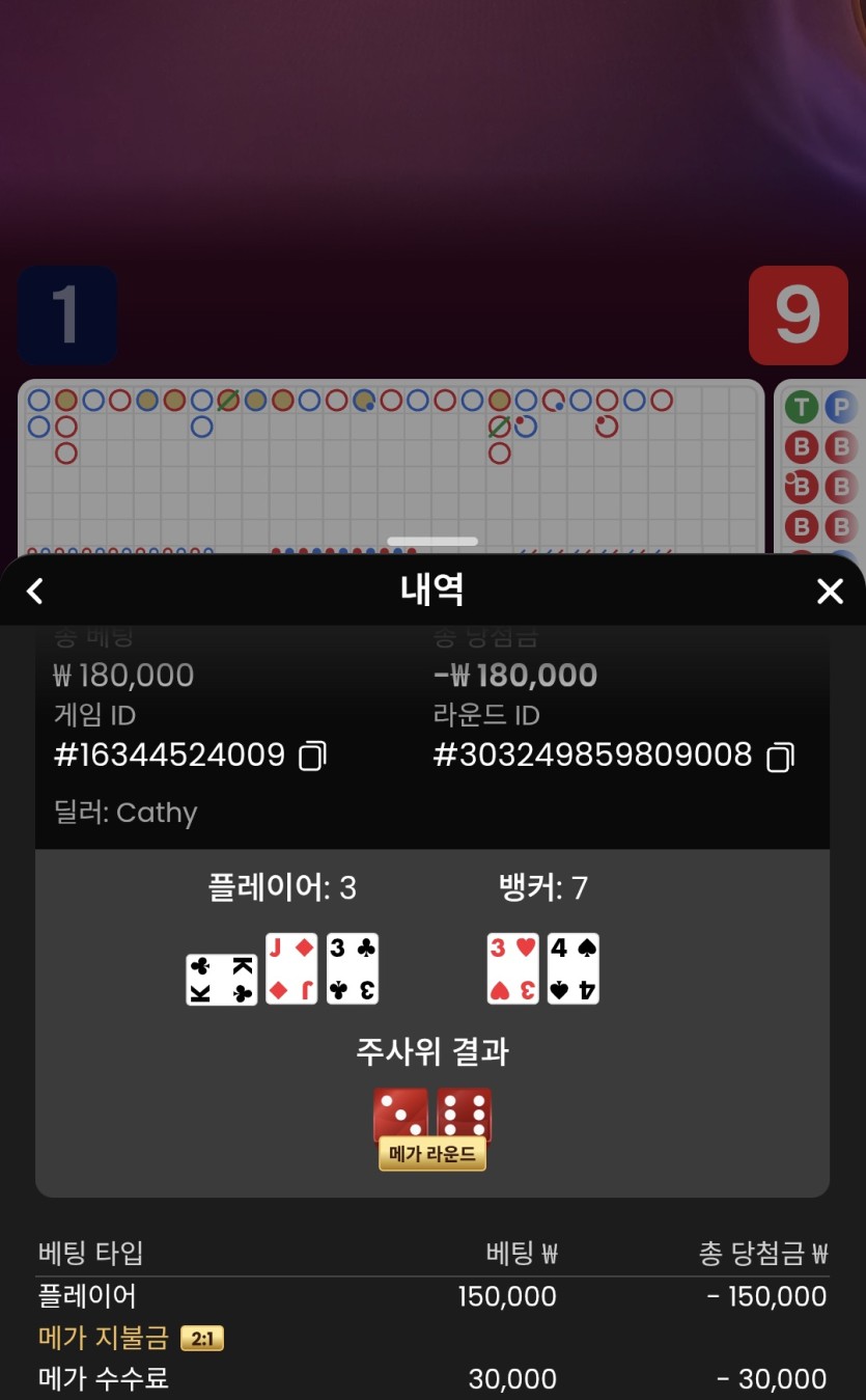 비제휴 메가바카라(0)