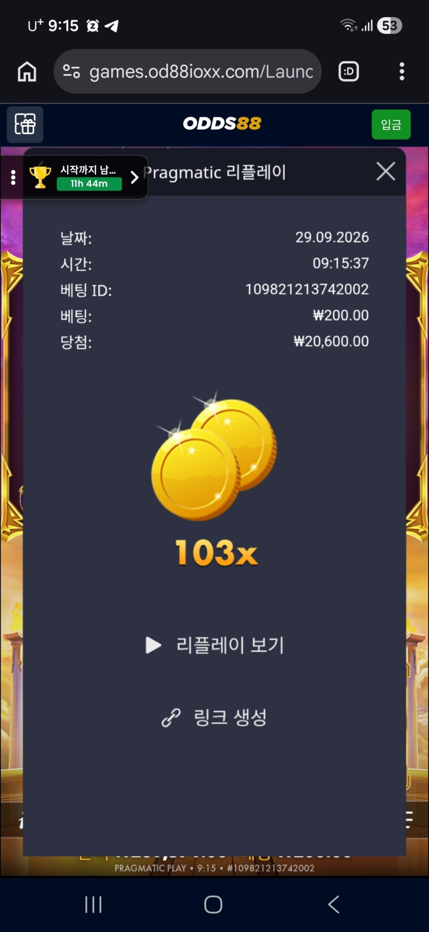 오즈88후기(0)