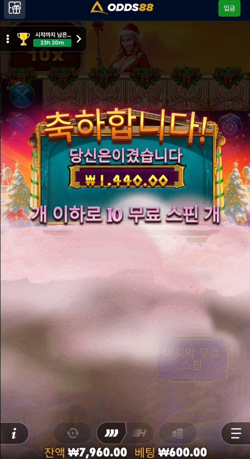 오즈재입후기(1)