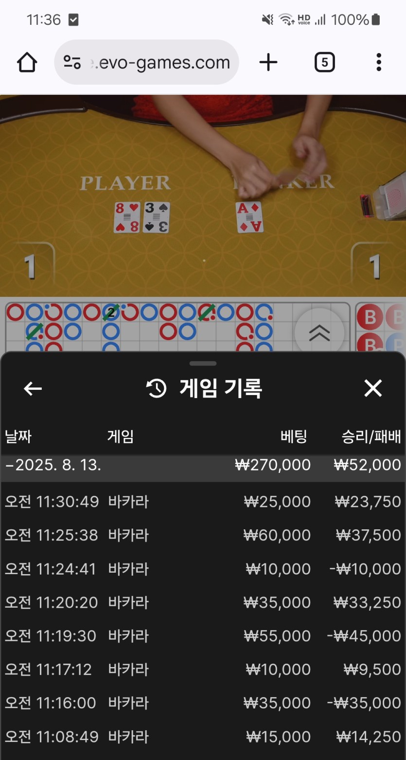 유로스타 에볼후기(0)