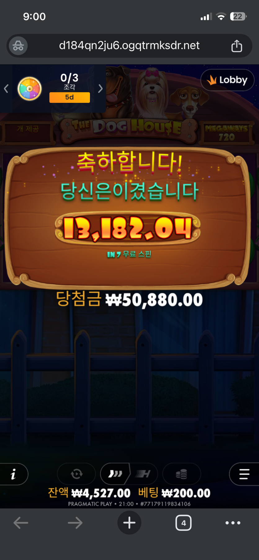 얀카지노 슬롯 후기(0)