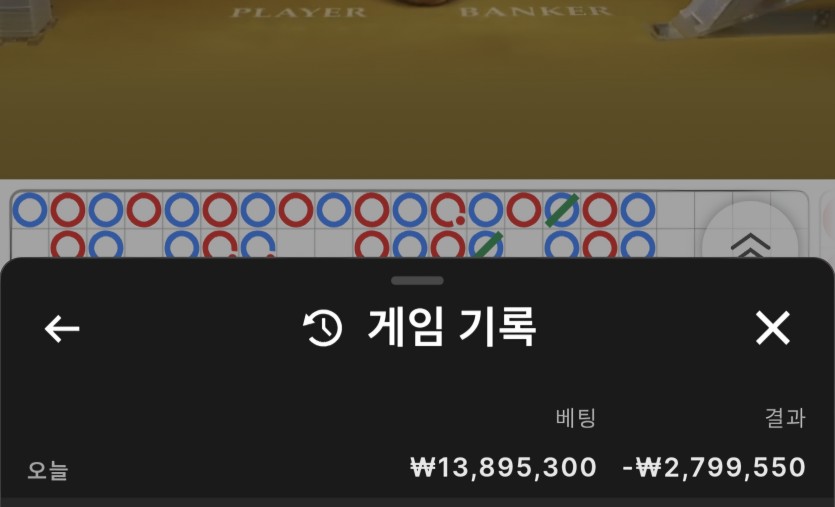 비제 에볼/프라그 후기(0)