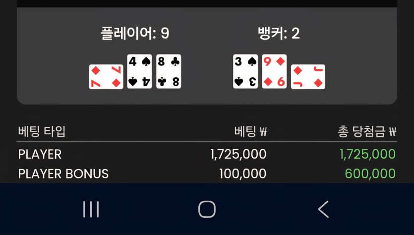 비제휴 프라그(1)