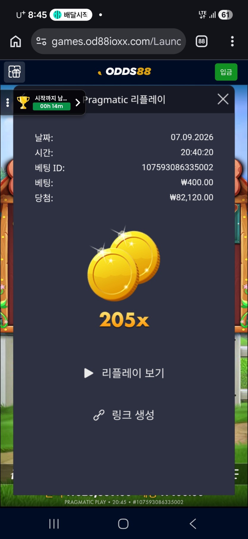 오즈88후기(0)
